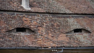 Augen, sagt der Volksmund, sind die Fenster der Seele. (Foto: Undine Zimmer) Augen, sagt der Volksmund, sind die Fenster der Seele. (Foto: Undine Zimmer)