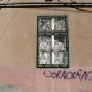 Manchmal lassen sie den Betrachter nur ahnen, was sich hinter ihnen verbirgt. (Foto: Undine Zimmer) Manchmal lassen sie den Betrachter nur ahnen, was sich hinter ihnen verbirgt. (Foto: Undine Zimmer)