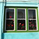 Heimeliges, (Foto: Undine Zimmer) Heimeliges, (Foto: Undine Zimmer)