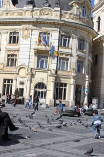 Hier regiert Johannis (Foto: Stefanie Maeck) 