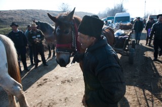 Vor dem Zaun drängen sich Männer mit Pferden und Tieren. (Foto: Uli Reinhardt)