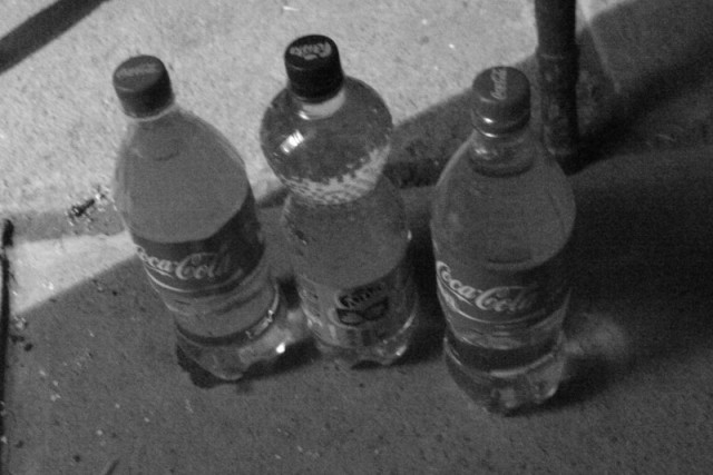 schnapssschuss-waldmann