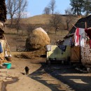 Malmkrog (Foto: Lena Müssigmann) Malmkrog (Foto: Lena Müssigmann)